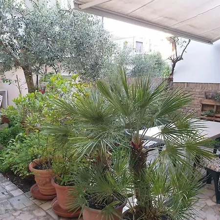 Trilocale Con Giardino Vicino Al Mare - Da Diego チヴィタノーヴァ・マルケ